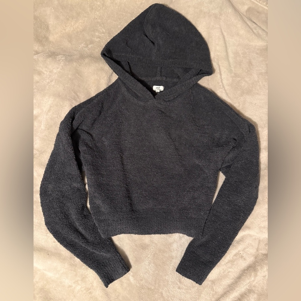 Aerie teddy hoodie